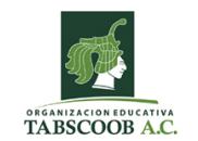 Organización Educativa Tabscoob A.C.