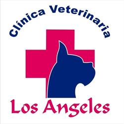 Clinica Veterinaria los Angeles Mëxico
