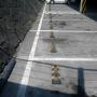 Subido por visitante en 25/07/2017