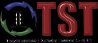 Transformadores y Servicios Tecnicos S.a. De. C.v.