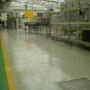 pisos y lineas de trafico