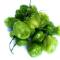 habanero