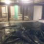 Subido por visitante en 13/04/2017 - Pisos, laminados, lo zetas y de ingeniería.