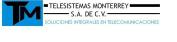 Telesistemas Mty, SA de Cv