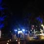 iluminacion palmeras