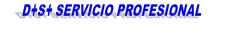 Ds Servicios Profesionales