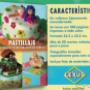 Subido por visitante en 07/08/2017