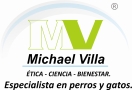 Dr Michael Villa