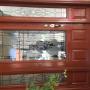 Subido por visitante en 25/11/2015