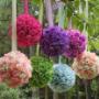 Subido por visitante en 01/09/2017 - Bola de flores
