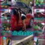 Subido por visitante en 15/01/2018