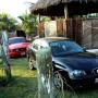 Bungalows Las Brisas7