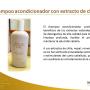 Shampoo chile
