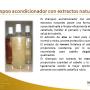 Shampoo extractos