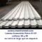 Lamina-Pintro-R-101
