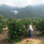 Dron