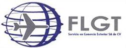 Flgt Servicios en Comercio Exterior