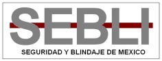 Seguridad y Blindaje de México