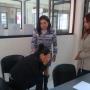 terapia