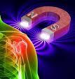 Diplomado en Biomagnetismo Médico - Par Biomagnético