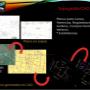 Cartografia Catastral