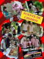 Fuente-de-chamoy