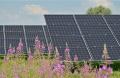 ¿Cuánto nos beneficia en el medio ambiente el utilizar paneles solares