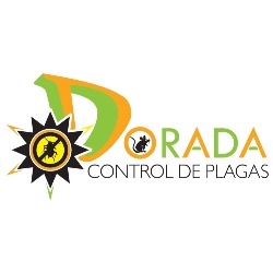 Fumigadora Dorada