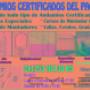 Subido por visitante en 16/07/2016