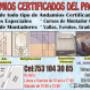 Subido por visitante en 08/01/2016 - publicidad