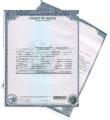 Actas de nacimiento matrimonio defunción de los EEUU (Guadalajara (ZMG) Chapala)
