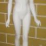 Maniquis