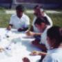 actividades