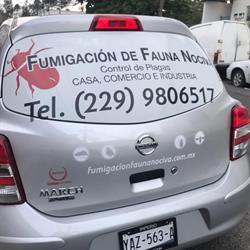 Fumigación de Fauna Nociva