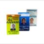 Gafetes PVC