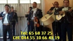 Mariachis