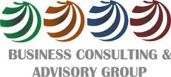 Bcag Business Consulting & Advisory Group