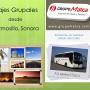 Grupo Matca viajes