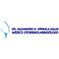 Dr. Alejandro H Spinola Salas
