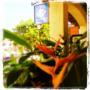 Prudential Real Estate