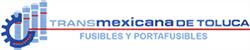 Transmexicana de Toluca, S.a. de C.v