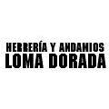 Herrería Y Andamios Loma Dorada