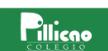 Colegio Pillicao