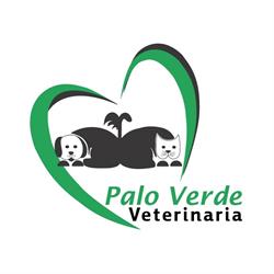 Hospital Veterinario Palo Verde