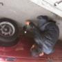 Subido por visitante en 17/02/2016