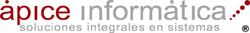 APICE INFORMÁTICA SA DE CV