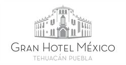 Hotel Mexico, S.a. De C.v