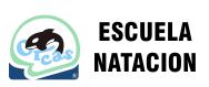Orcas Escuela De Natacion