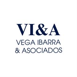 Vega Ibarra & Asociados