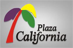 Plaza California Piel